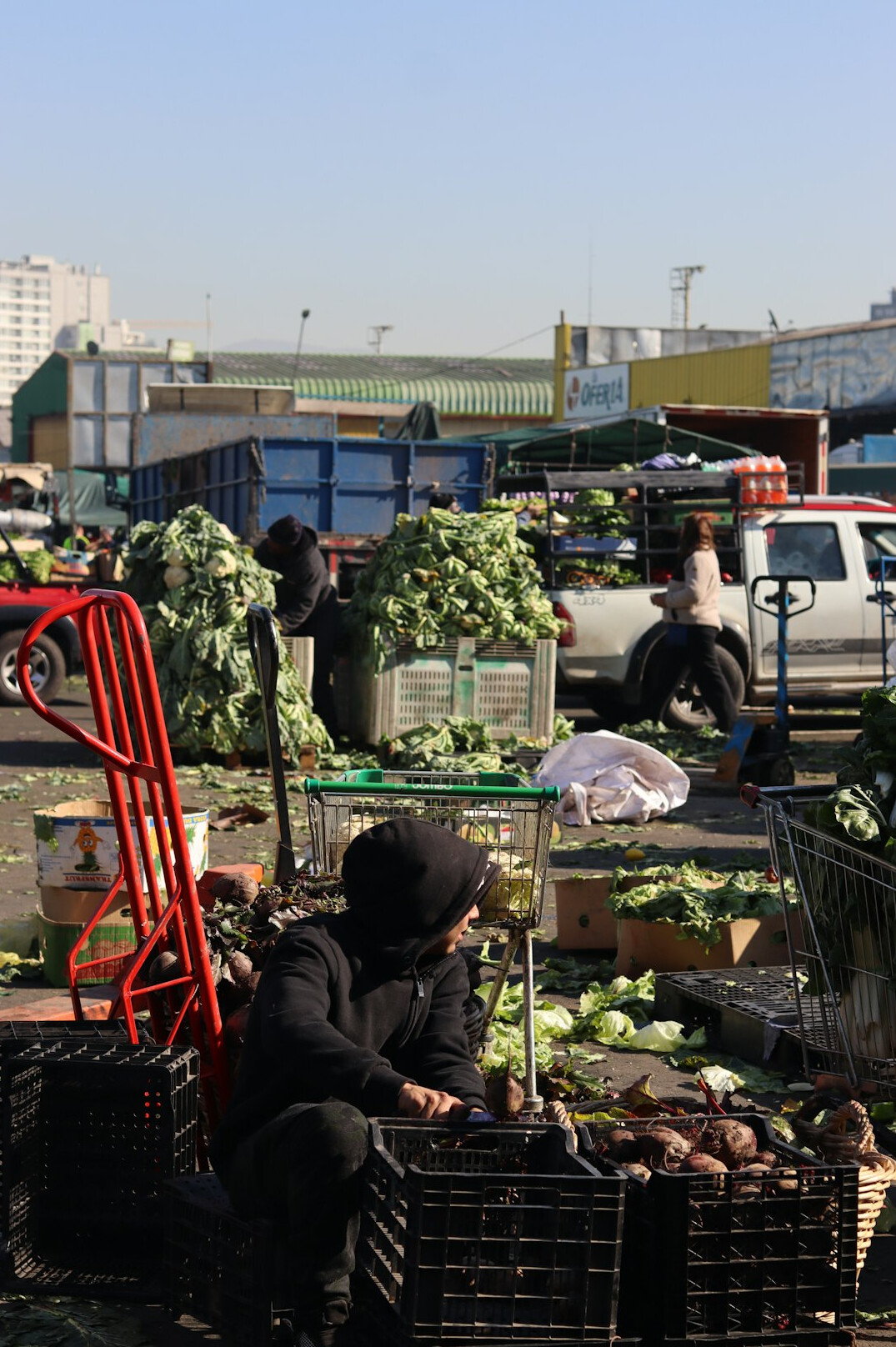 Local street market with fruit and vegetable stalls in Chile